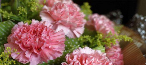 自私之花——贪婪的多肉植物（揭秘多肉植物的花语和秘密）
