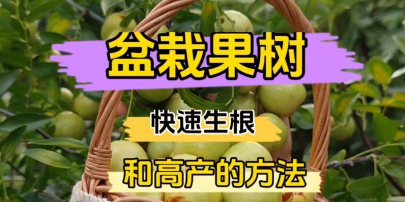 甜瓜僵苗怎么办？教你轻松处理！（甜瓜僵苗的成因及处理方法）
