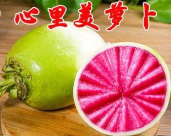 心里美萝卜种植指南（挑选种子、准备土壤、育苗、定植、管理等全方位解析）