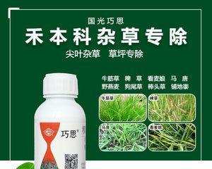 牛筋草除草剂的选择与使用（选择正确的除草剂，轻松清除草坪上的顽症）