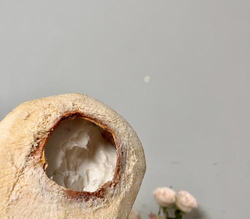椰子是否适合放入冰箱保存？（冰箱保存椰子的方法及注意事项）