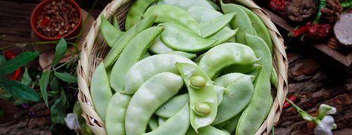 豆角是蔬菜还是碳水？（探究豆角的营养价值及碳水化合物含量。）
