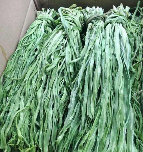 苔菜的种植方法（从播种到收获，全面了解苔菜的种植技巧）