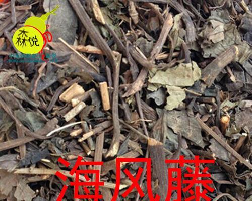 大风叶的神奇之处（探索大风叶的生长特征及物理性质）