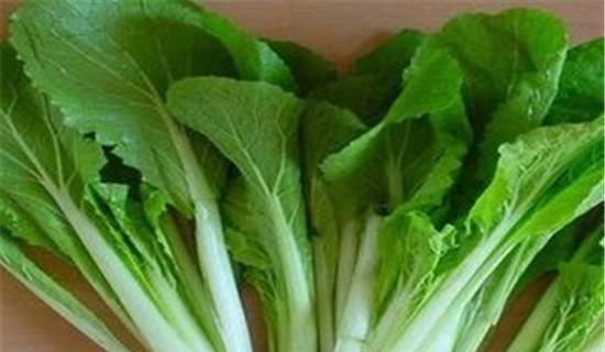 白菜的碳水化合物含量究竟有多少？（揭秘白菜的碳水化合物含量及营养价值）