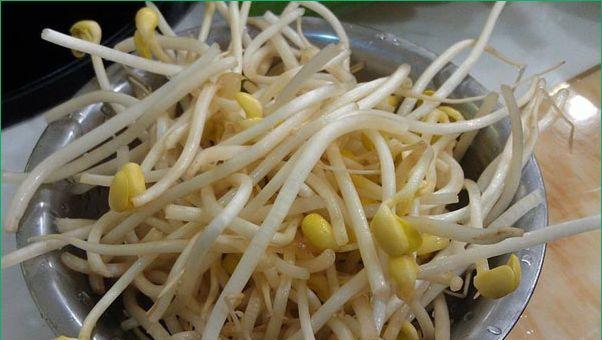 豆芽的根能吃吗？（探究豆芽根的营养价值和食用方法）