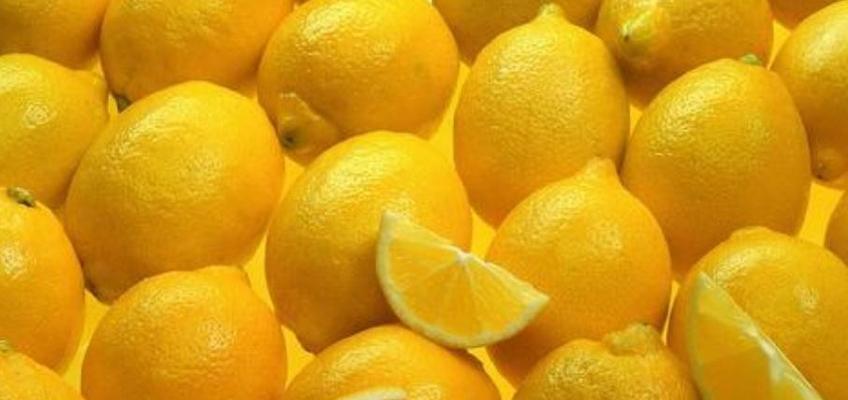 柠檬种子可食用吗？（了解柠檬种子的营养价值和注意事项）