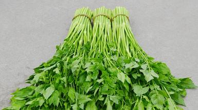 水芹菜（从名称到营养，探究水芹菜的秘密）