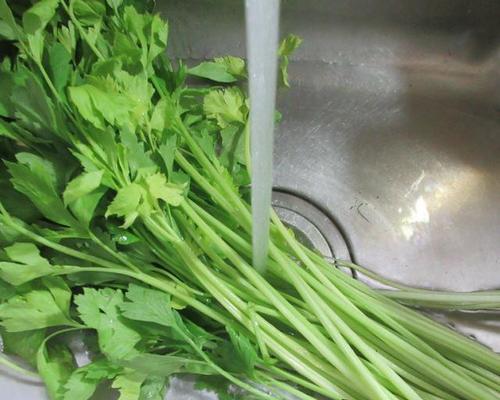 芹菜根的营养和食用方法（探究芹菜根的营养价值以及如何科学地食用）