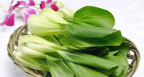 白菜的营养成分分析（白菜是否属于碳水化合物？）