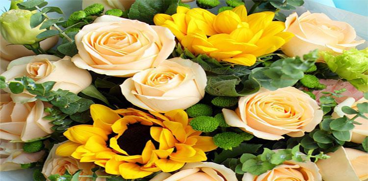 16朵黄玫瑰的花语（探讨16朵黄玫瑰所代表的不同含义）