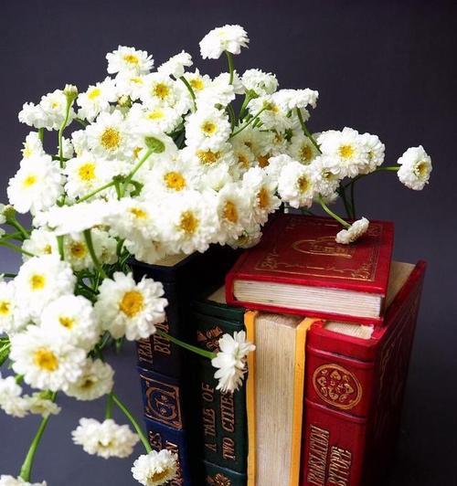 代表理性的花语——冷静理智（以白色菊花为例，理性思维助你掌控情绪）