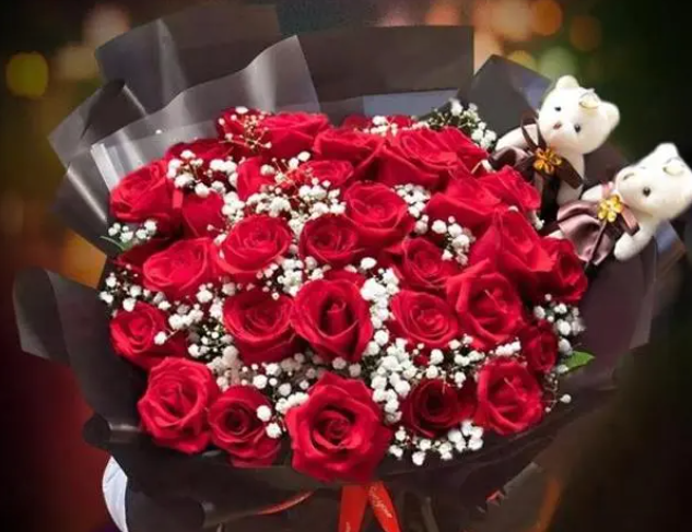 玫瑰花的花语是什么？为什么常被用作情人节礼物？