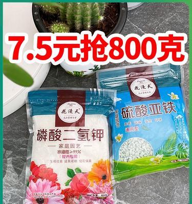 磷酸二氢钾对发财树的浇水效果（掌握正确方法，让发财树更健康茁壮）