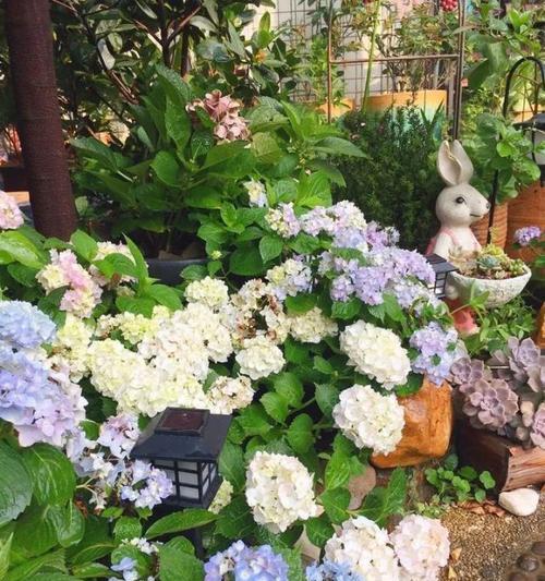 北面露台花卉种植指南（打造属于自己的绿色花园，让北面露台充满生机）