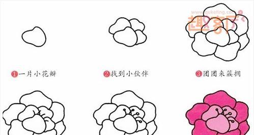 梅花的生长历程（从花苞到绽放）