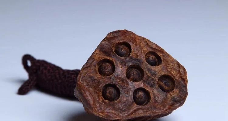 莲蓬的寓意与象征风水（探讨莲蓬在中国文化中的卓越地位）