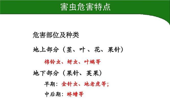 花生病虫害防治全攻略（掌握这些技术方法，让你的花生庄稼更健康）