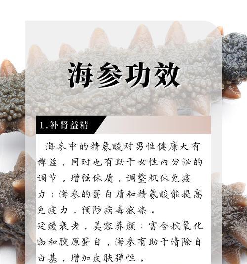 海参属于棘皮动物的奥秘（探索海参的生物特征和营养价值）