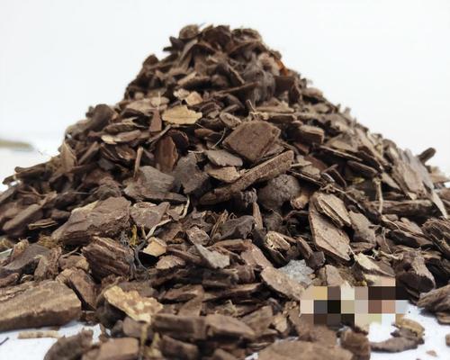 松树皮养育多肉的奥秘（用松树皮来培育多肉植物，让你的家园更绿色）