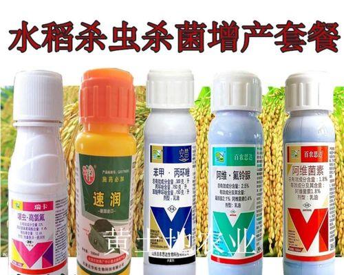 水稻钻心虫防治方法（掌握钻心虫生态习性，综合防治提高效果）