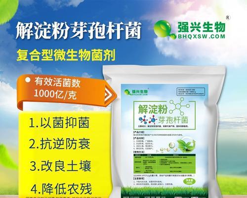 淀粉芽孢杆菌对植物的益处（探究淀粉芽孢杆菌在植物生长中的重要作用）