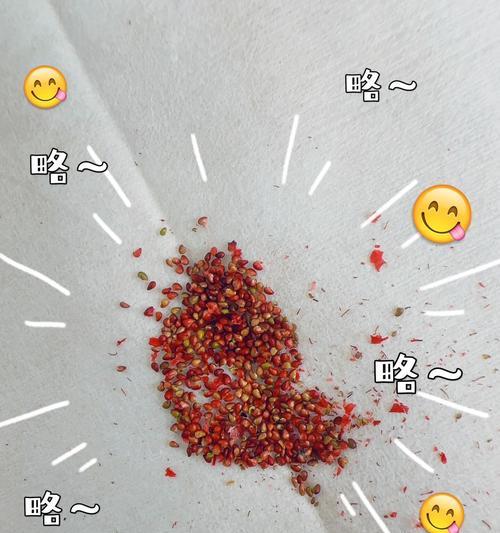 草莓种子如何催芽？教你简单易行的方法！（15个步骤，让你的草莓种子催芽成功！）