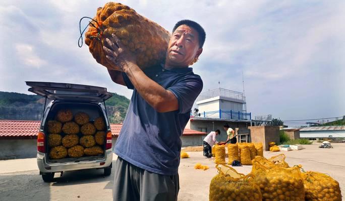 如何正确保存核桃？（保存方法与时间一定要掌握）