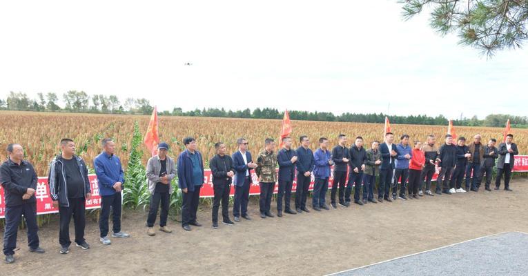 高粱病虫害防治技术与方法措施（从根源上解决高粱病虫害问题）