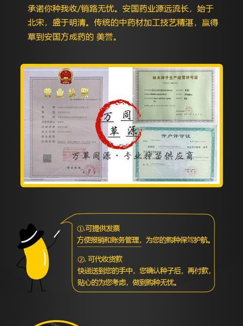 槐树种子的营养与食用方法（探秘槐树种子的美食世界）