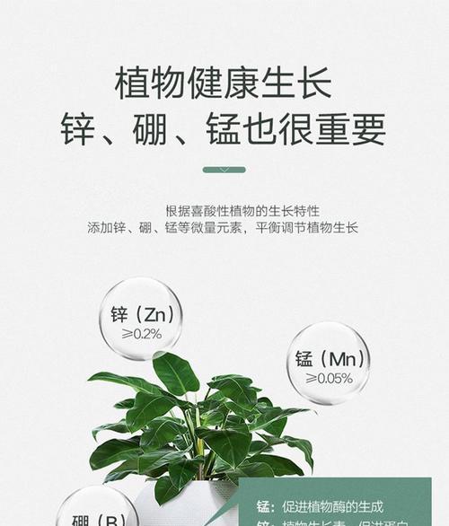 探究米兰喜肥的肥料选择与使用方法（为您揭秘米兰喜肥喜欢施什么肥料）