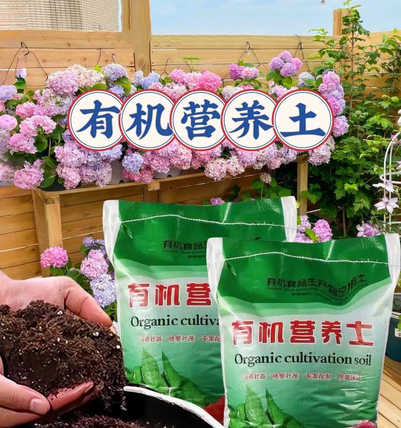 营养土是什么土？（探寻营养土的特征和应用价值）