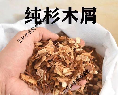 如何科学地施肥给杉树？（杉树生长需要注意的事项与技巧）