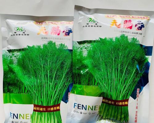 小茴香的种植时间及方法详解