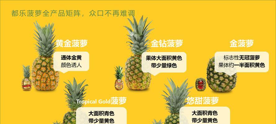 菠萝生长的秘密（探索菠萝生长的奥秘，解开它的成长密码）