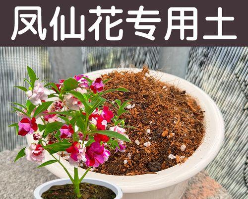盆景花卉土壤的处理技巧（打造健康花园的关键步骤）