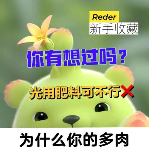 多肉长势过高，如何正确移植？（有效控制多肉生长高度的关键技巧与方法）