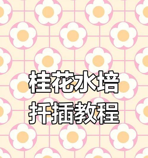 发财树水培扦插的生根技巧（简单易行的方法让发财树水培扦插迅速生根）