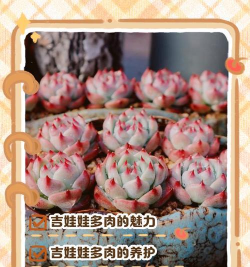 吉娃娃耐寒性能研究（探讨吉娃娃在低温环境下的适应能力与限制因素）