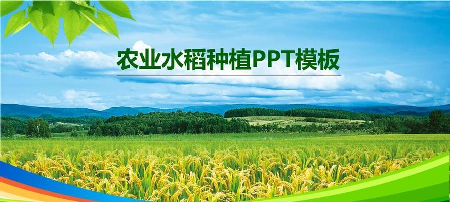 优质水稻的种植条件（探究水稻种植的气候、土壤、水源和管理等条件）