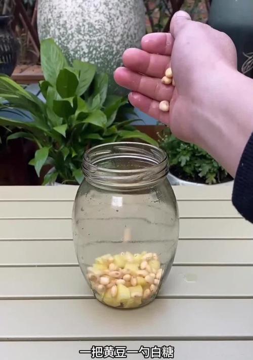 浇花的正确方法（如何给花草浇水，让它们茁壮成长）