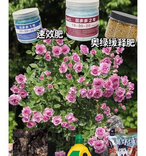 如何补救花多多比例过高的情况？（有效控制花多多比例，实现财务平衡）