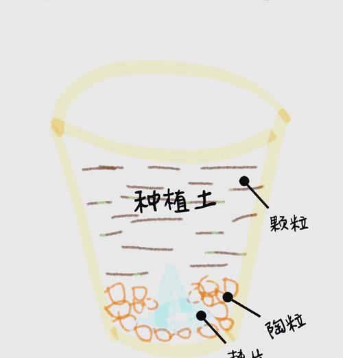 以钱串叶插配土（优质土壤与正确插花技巧相得益彰的秘诀）