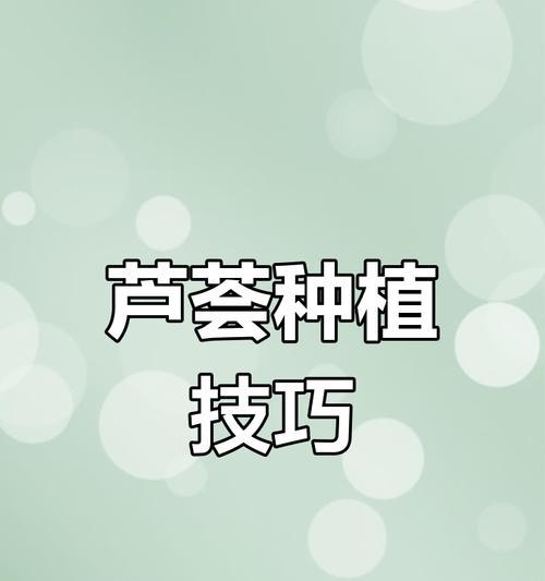打造旺盛库拉索芦荟的5步法则（如何养护库拉索芦荟才能开出更加鲜艳的花朵）