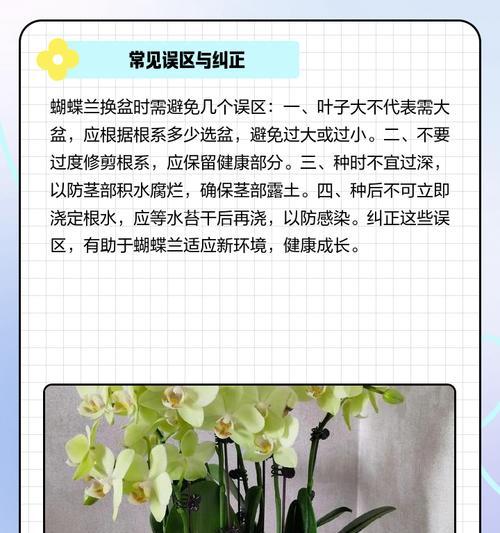 蝴蝶兰上盆方法与养护注意事项（让你的蝴蝶兰健康生长！）
