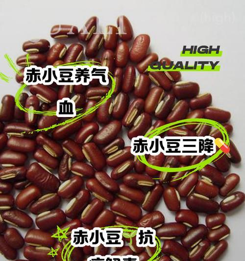 如何正确种植红豆？（红豆种植时间和技巧）