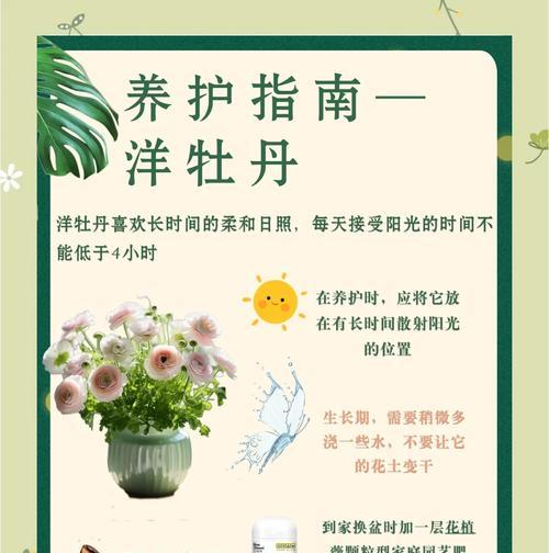 小叶牡丹花的养殖技巧（掌握关键要点，让小叶牡丹花健康茁壮成长）