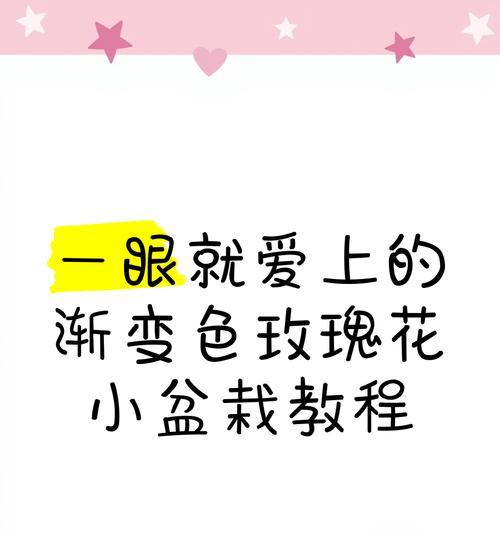 盆栽小玫瑰的培育指南（如何在家中成功培育盆栽小玫瑰）