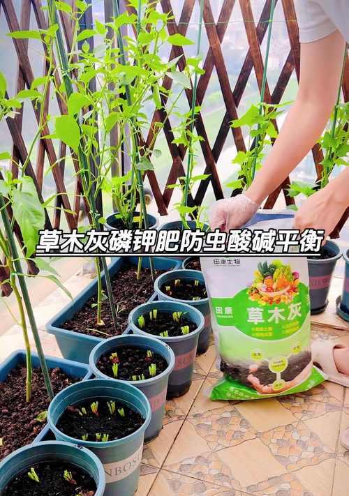 改善土壤酸碱性的方法（有效调节土壤酸碱平衡，提升农作物产量）