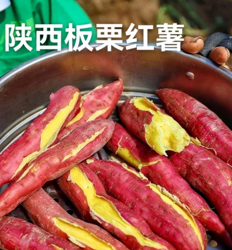 探寻红薯的故乡（红薯特产源流一览）